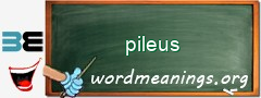 WordMeaning blackboard for pileus